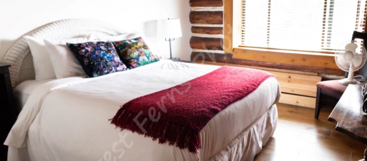 surf-lodge-1-queen-room-2-001